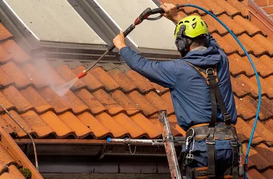 Démoussage et hydrofuge de toiture à Queaux